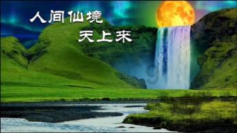 捣蛋猪HD8.0