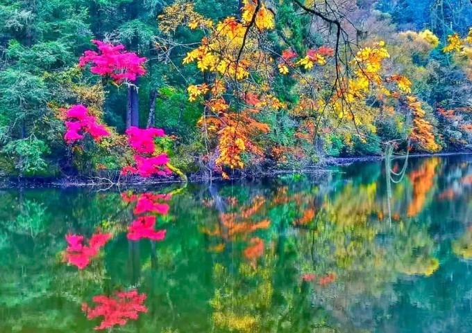 春日诗句｜江南无所有，聊赠一枝春。游戏画面