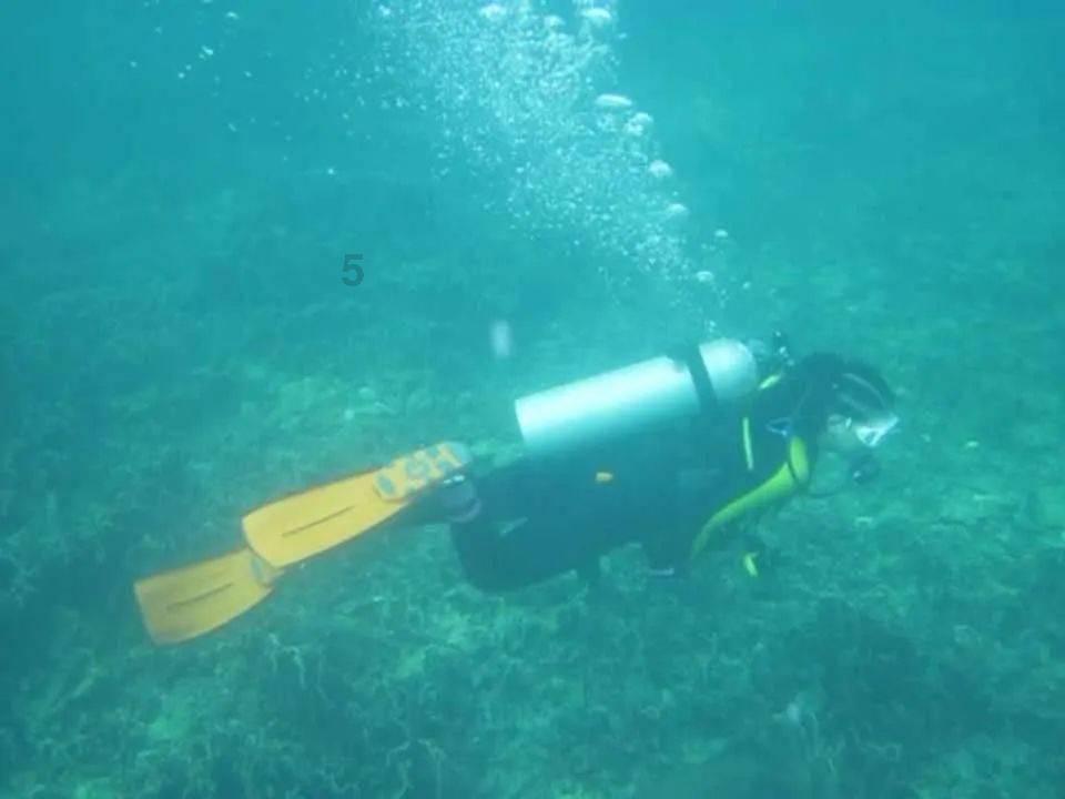 熊出没水果大陆2
