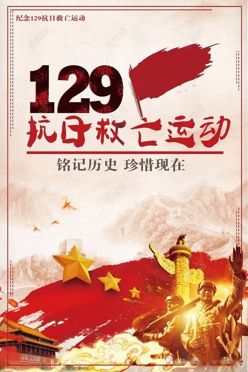 拯救受伤的猫