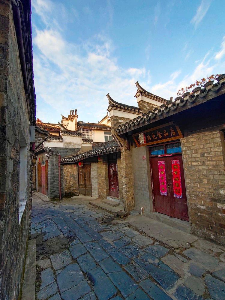 破碎的动物图形